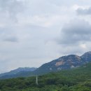 멍잎 | 멍때리기 명소, 「마음의 정원」 서울 진관사 답사 후기