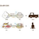 당뇨병은 영양실조다 이미지