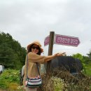 신도중학교 이미지