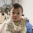 닥터클리닝 | 동탄 소파 클리닝 후기 아기집 패브릭 소파청소 클린닥터