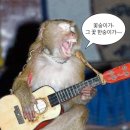 카페무르 이미지