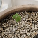 라일락산부인과의원 이미지