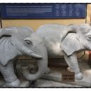 신현부동산공인중개사사무소 이미지