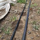 낙수농장 이미지