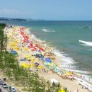 강릉경포그리고바다 이미지