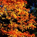 인제3공원 이미지