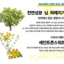 화님마트 이미지