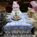 용투어