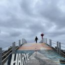 하례망장포로 이미지