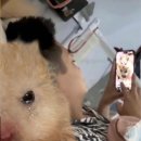 유정중고나라 | 나라는 여자