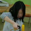 알로에테마파크 이미지