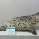 부산해양자연사박물관 이미지