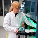 Eli Lilly, Novo Nordisk,Madrigal Pharmaceuticals