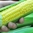 스마일마트 이미지