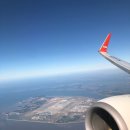 솔레올레 이미지