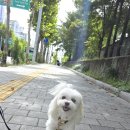 뭉투샵 네이버블로그
