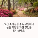 오산시 꿈두레도서관 | 오산 죽미공원 숲속 무장애나눔길: 모두를 위한 힐링 산책코스(꿈두레도서관)
