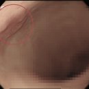 우리성모내과의원 이미지