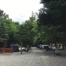 모야의숲 캠핑장 이미지