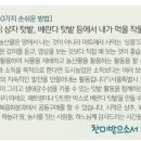 공동 텃밭, 미니 상자 텃밭, 베란다 텃밭 등에서 내가 먹을 작물들을 직접 길러봅니다. 이미지