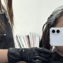 C.H.H.Farm(2) | 화성시청미용실 H하우스 화성남양점 손상모 염색 후기