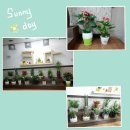 꽃드리움 이미지