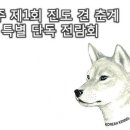 2015년 제1회 완주 춘계 진도견 특별전람회 이미지