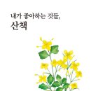 내가좋아하는 이미지