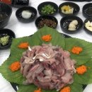 막써는회포차 | 속초 가성비 좋은 횟집 추천 막써는회포차 내돈내산 후기