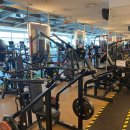 시드니 휘트니스 이미지