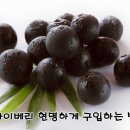 빅푸드 이미지