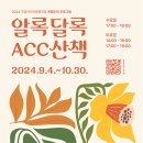ACC빅도어시네마 이미지