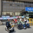 2025년 장애인식개선캠페인 실시(대천 농협) 이미지