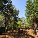 숲뒤농장 이미지