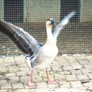 순호농장 이미지