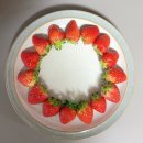토경팜 | 산지직송 토경 설향딸기