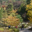 영인산수목원 이미지