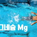 퓨어민 이미지