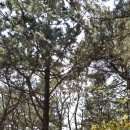 굿거리공원 이미지