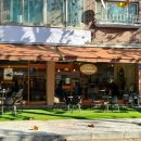 빙고 애견카페 이미지