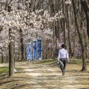 용두공원 앞 이미지