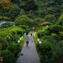 정원이있는 카페 이미지