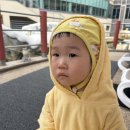 해리아쿠아 | 경주 한화 뽀로로 아쿠아 빌리지(20개월 아기 후기, 오픈런, 영유아 구역)