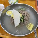 옥천느티나무막국수 이미지