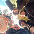 종달로가 이미지