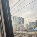 8호화장실 | 대구근교 경북뚜벅이 여행 깔끔한 분위기의 청도프로방스펜션 커플 8호 내돈내산 솔직후기(픽업관련 이슈)