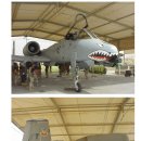 A-10 선더볼트 Ⅱ (A-10 Thunderbolt Ⅱ) - 높은 생존성