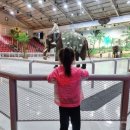 용두암빌리지 이미지