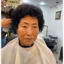 룩스뷰티