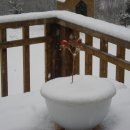 햇살찬농장 이미지